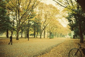 nozomuishikawa autumnride