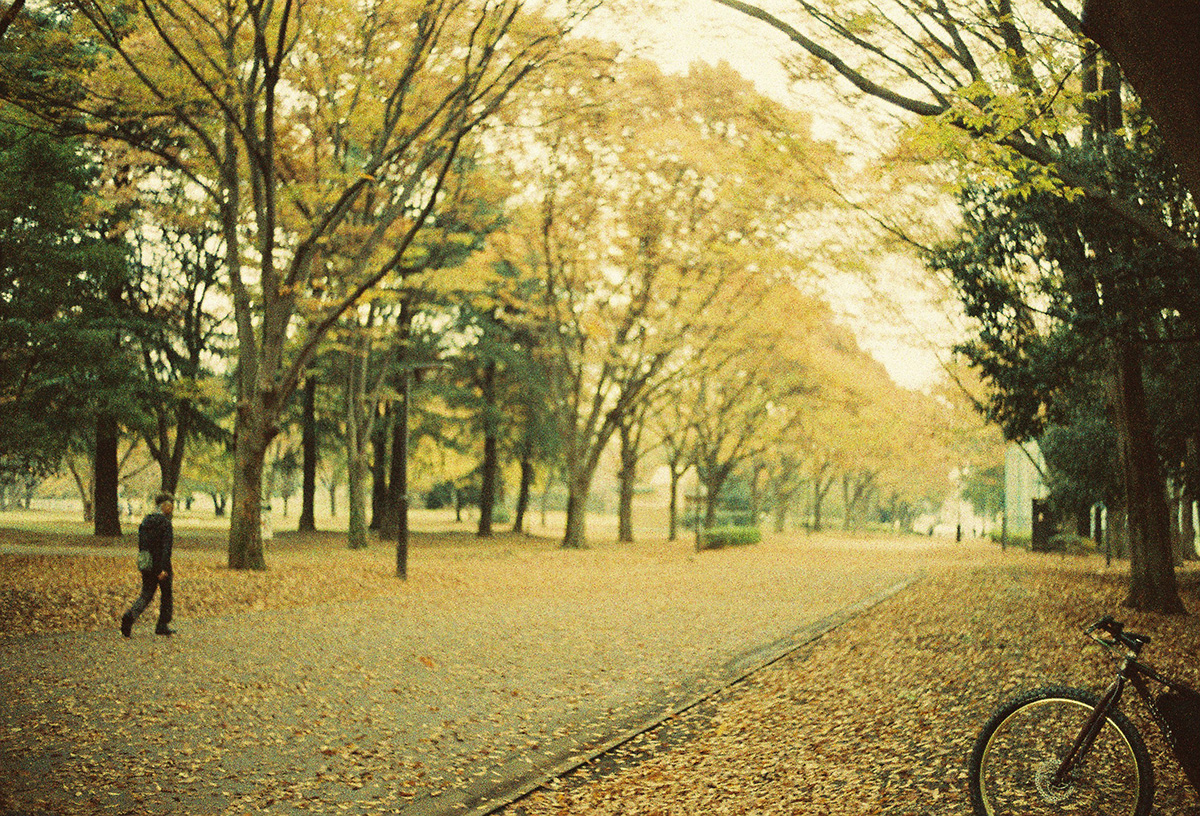 nozomuishikawa autumnride